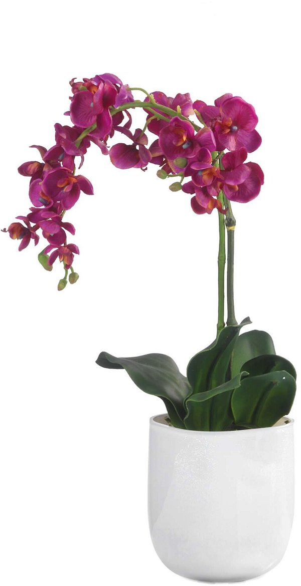 Orchidea Fucsia con Vaso in Ceramica