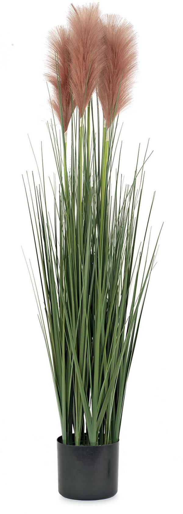 Vaso Pampas Marrone