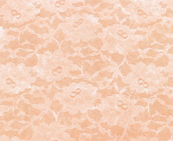 Bobina Lace Polyweb