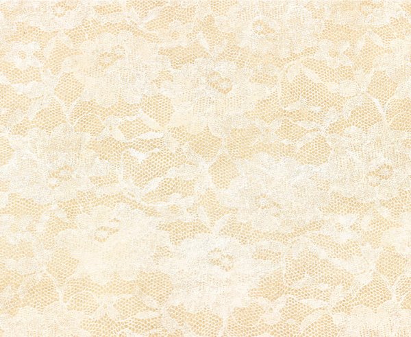 Bobina Lace Polyweb