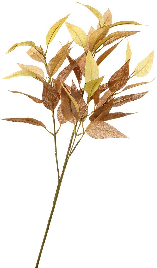 Rami Eucalyptus Single Branch Avorio