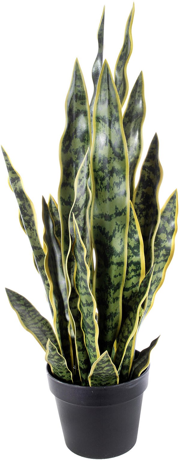 Pianta Sansevieria Verde in Vaso Real Touch