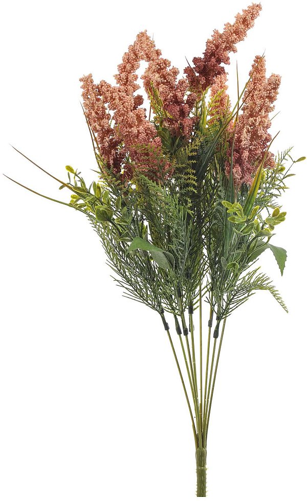Bush 9 Rami Astilbe