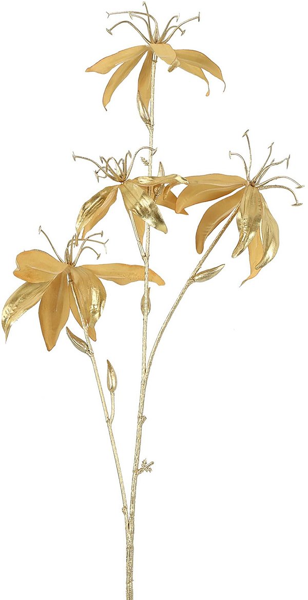 Rami Gloriosa Gold