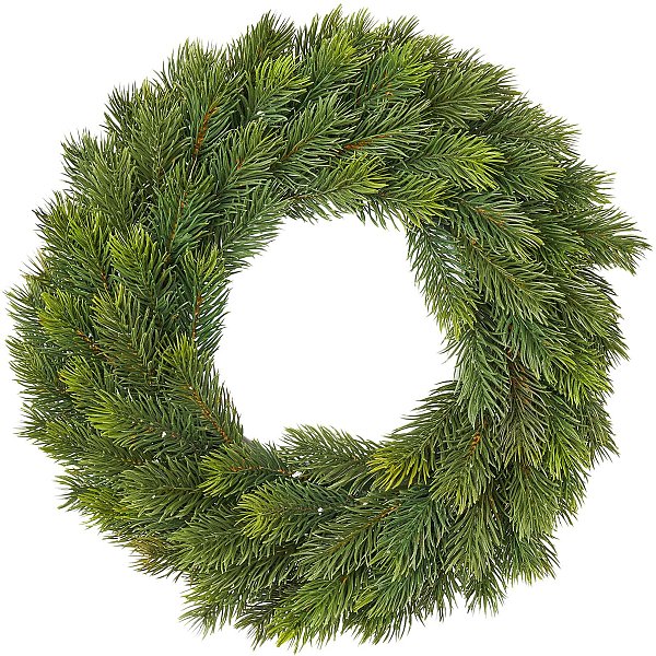 Coroncina di Pino Verde Nordman