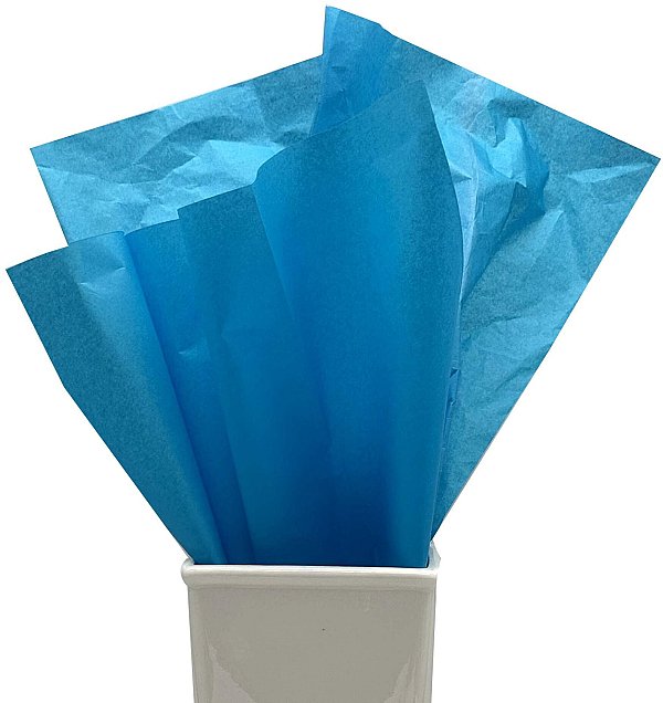 24 Fogli Carta Velina Colorata