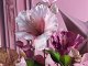 3964_13-06-24_0813-rl