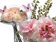 peonie_vaso_fungoi_rwoc-3i