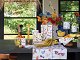 SB_Butterfly_garden-3