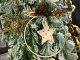 3741_11-06-24_9u2p-vx