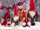 3784_12-06-24_68sa-nr