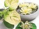 ambientata_fiori_di_loto