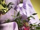 POLYWEB_LACE_LAVANDA