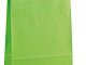 shopper_carta_maniglia_intrecciata_verde_menta_2tzs-zv