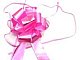 07082_ROSA