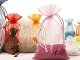 SACCHETTI_ORGANZA