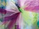 TULLE_j2n5-kr