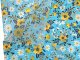 velina_1427