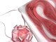 rosa_oyph-90