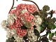 ambientata_alzata_weddin